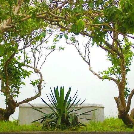Casa Do Comendador *